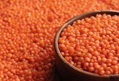 Picture of Red Lentil-Native