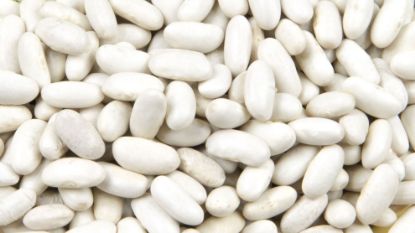 Picture of Coarse Beans