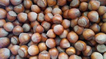 Picture of Shelled Hazelnuts