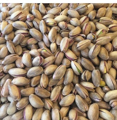 Picture of Pistachios ( mature in branch )