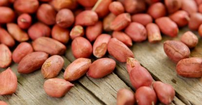 Picture of Raw Peanuts