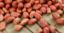 Picture of Raw Peanuts