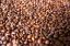 Picture of Coffee