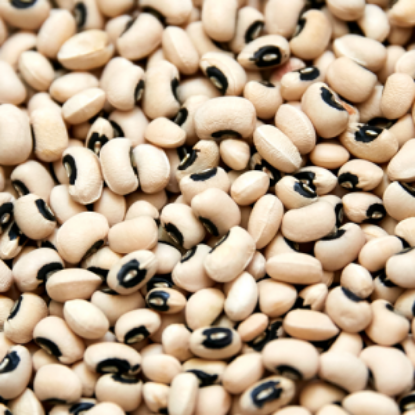 Picture of Cowpea