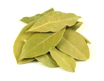 Picture of Bay Leaf