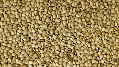 Picture of  Green Lentils-Luxury