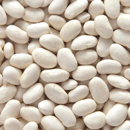 Picture of Erzincan Beans (Oversized-10mm)